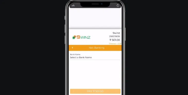 9winz Provide deposit details