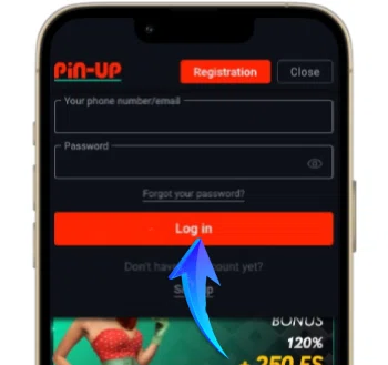 Pin Up App Log in button